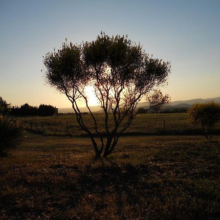 Agriturismo Il Grillo Parlante Pitigliano Buitenkant foto