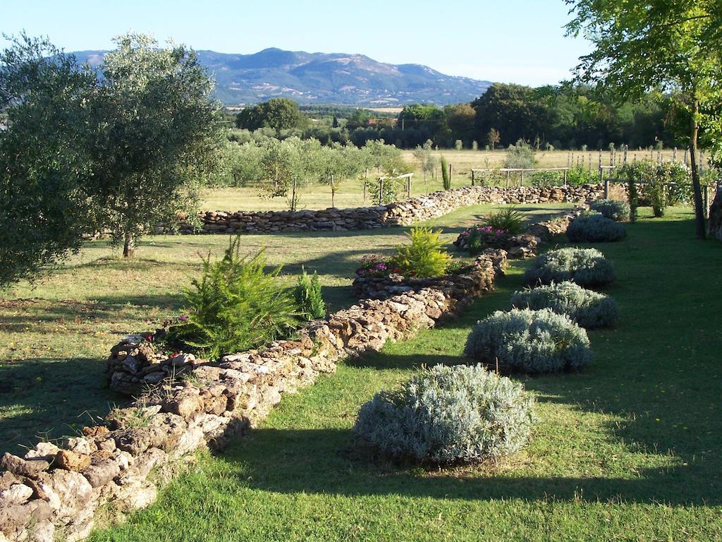 Agriturismo Il Grillo Parlante Pitigliano Buitenkant foto