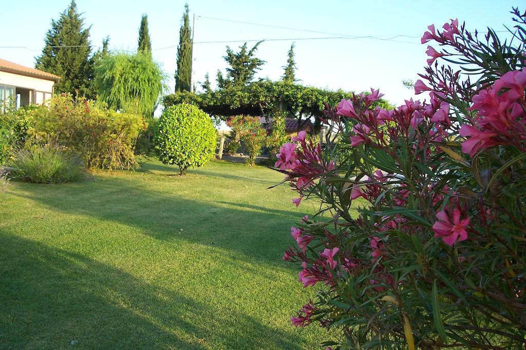 Agriturismo Il Grillo Parlante Pitigliano Buitenkant foto