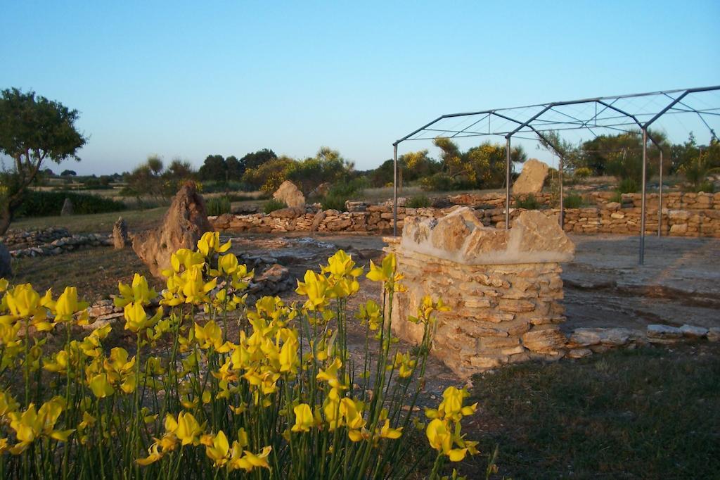 Agriturismo Il Grillo Parlante Pitigliano Buitenkant foto