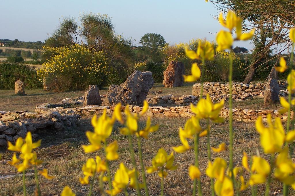 Agriturismo Il Grillo Parlante Pitigliano Buitenkant foto