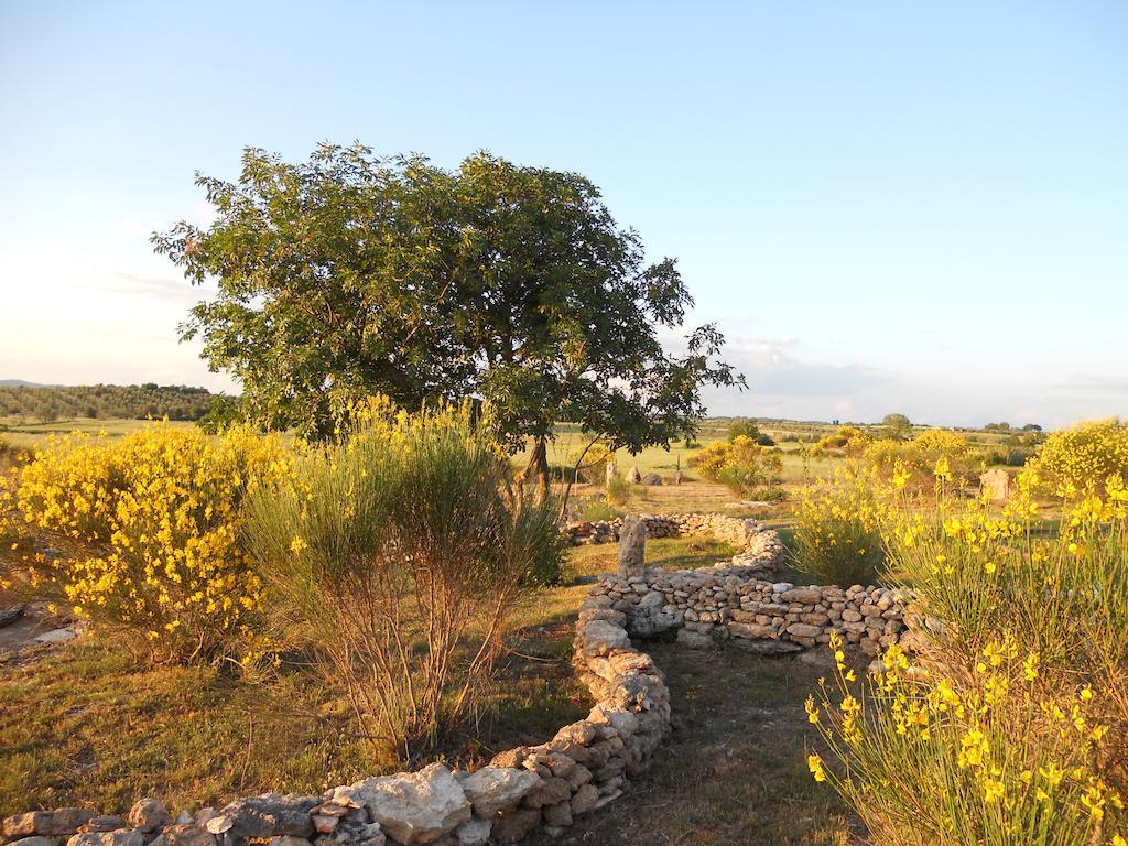 Agriturismo Il Grillo Parlante Pitigliano Buitenkant foto